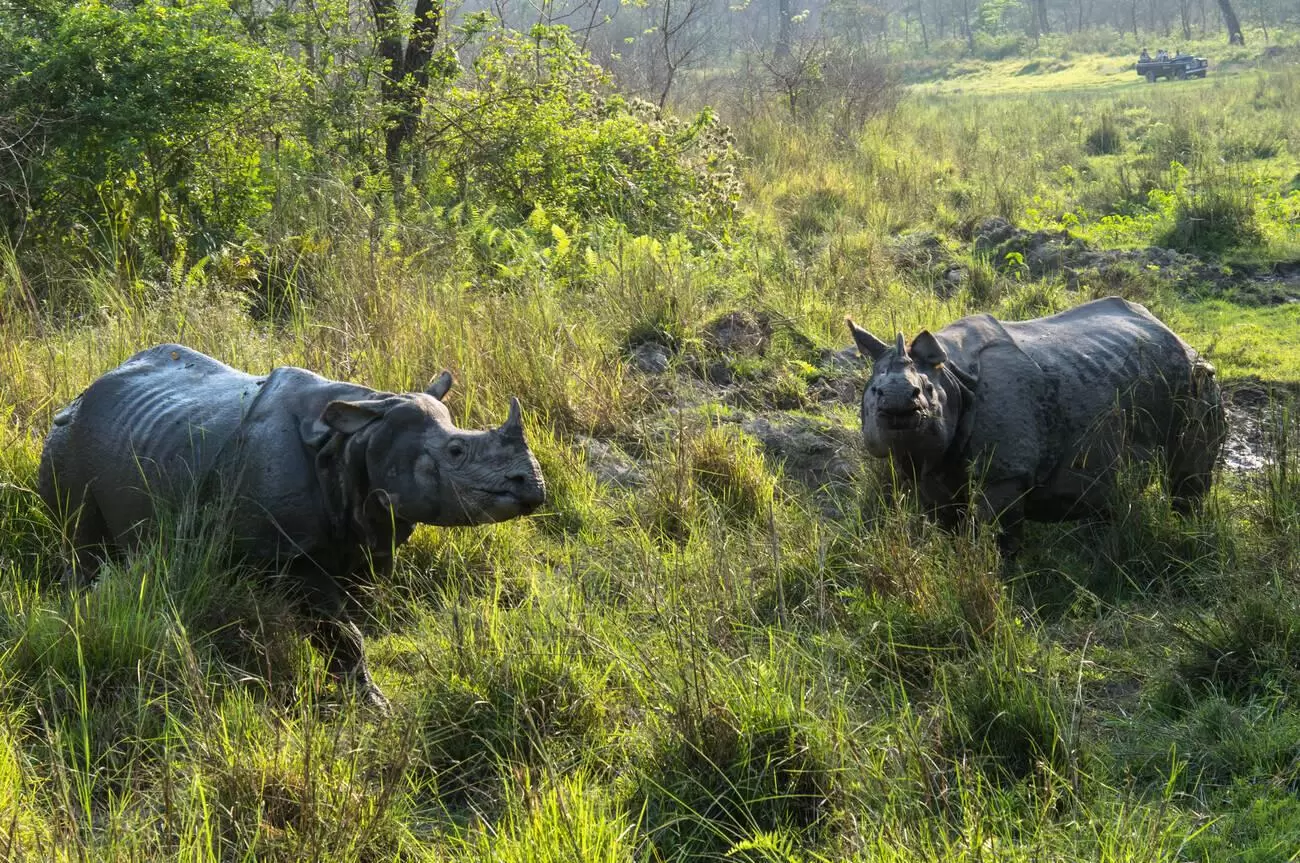 Chitwan Wildlife Adventure Tour