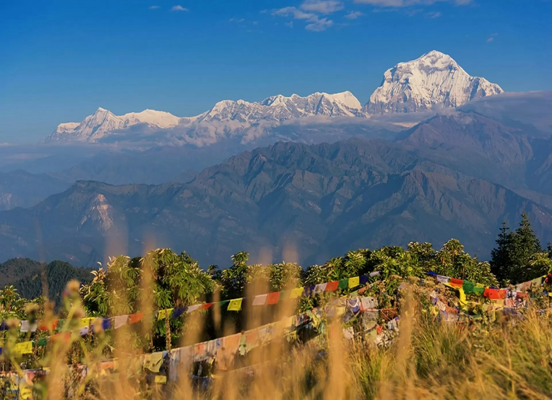 Ghorepani Poon Hill Trek